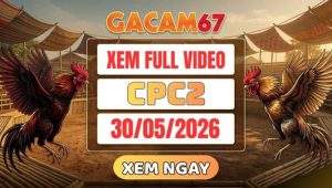 Xem Lại Video Đá Gà CPC2 Ngày 30/05/2026