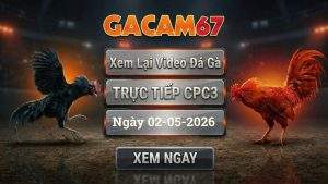 Xem Lại Video Đá Gà CPC3 Ngày 02/05/2026