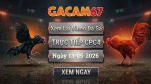 Xem Lại Video Đá Gà CPC4 Ngày 13/05/2026