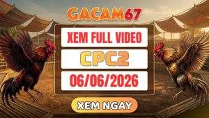 Xem Full Video Đá Gà CPC2 Ngày 6/6/2026 tại GACAM67